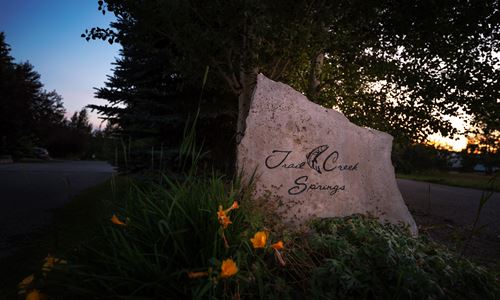 Trail Creek Springs