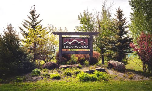 Iron Wood