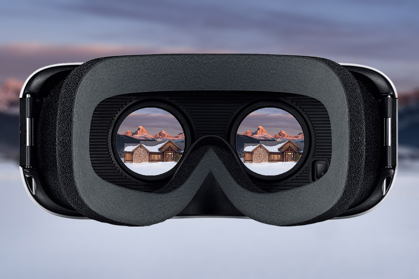 VR Goggles