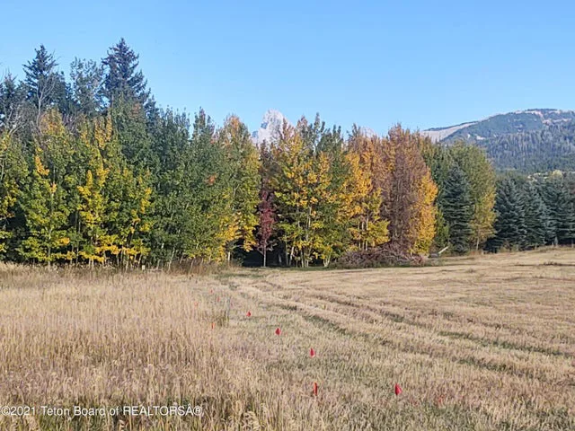 445 TARGHEE TOWNE Road, Alta, WY 83414
